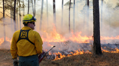 Texas A&M Forest Service personnel overseeing prescribed burn area.