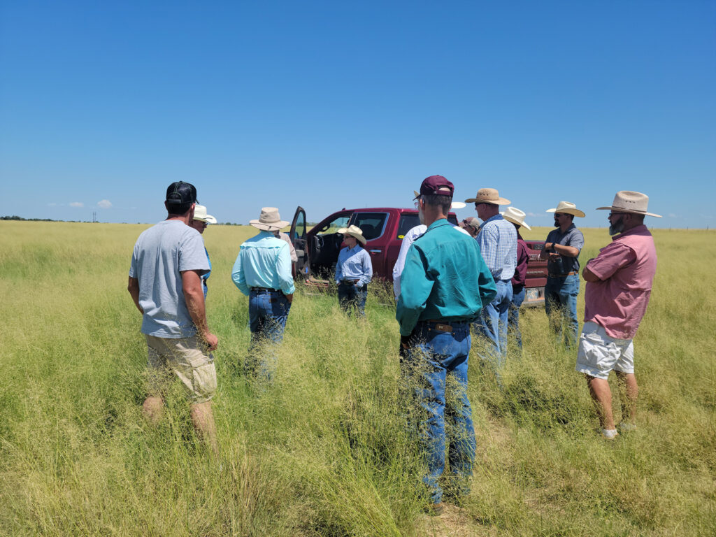 A group of ranchers stand in the middle of a pasture that is turning green, listening to the ranch owner speak