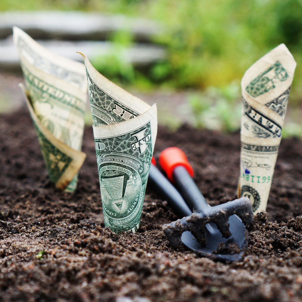 Dollar bills planted in ground with miniature gardening tools between them. Setting financial goals is vital to the success of money management