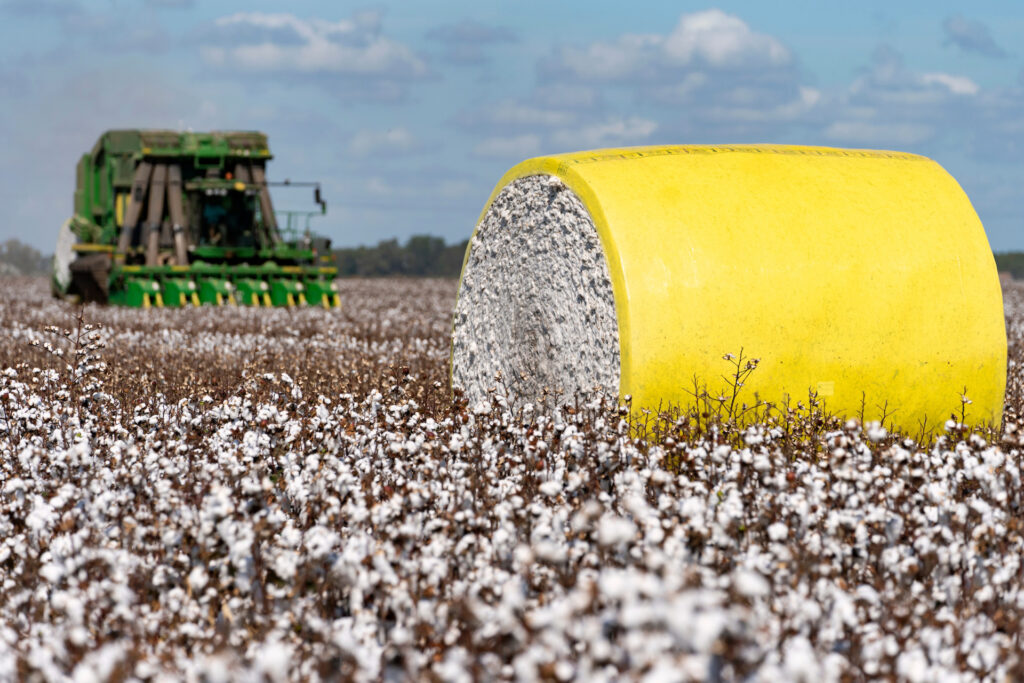 A bale of cotton wrapped in yellow plastic sits in a field of cotton with a cotton picker machine working in the background. 