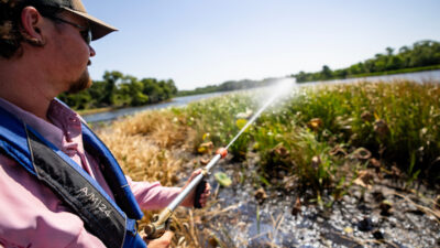 A man is spraying vegetation in a pond. Participants will learn about the common mistakes made during aquatic vegetation treatments and how to avoid them by using best practices during the Sept. 29 webinar.