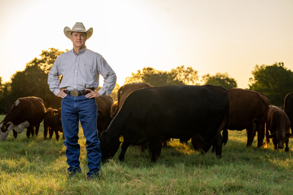 a man standing hands on hips, Clay Mathis, in the middle of a herd of cattle