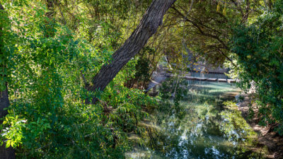Trees line the banks of Buffalo Bayou at Eleanor Tinsley Park in Houston. The Texas Riparian and Stream Ecosystem Education event in Katy will focus on Buffalo Bayou.
