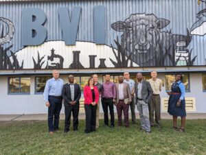 10 people standing in front of a building façade with a large mural of a sheep and the acronym "BVI"
