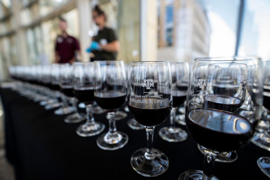 Rows of poured wine glasses cover a table at a Spirited Learning event. 