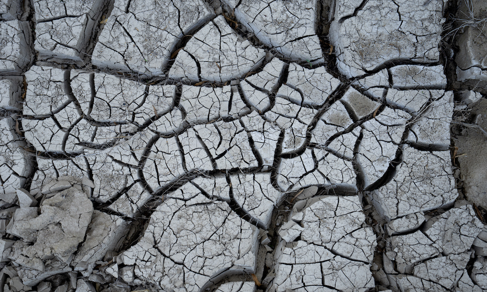 cracked dirt caused by dry conditions, 