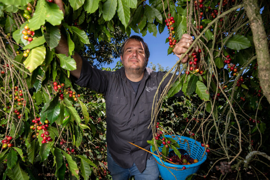 Eric Brenner standing among coffee plants. 