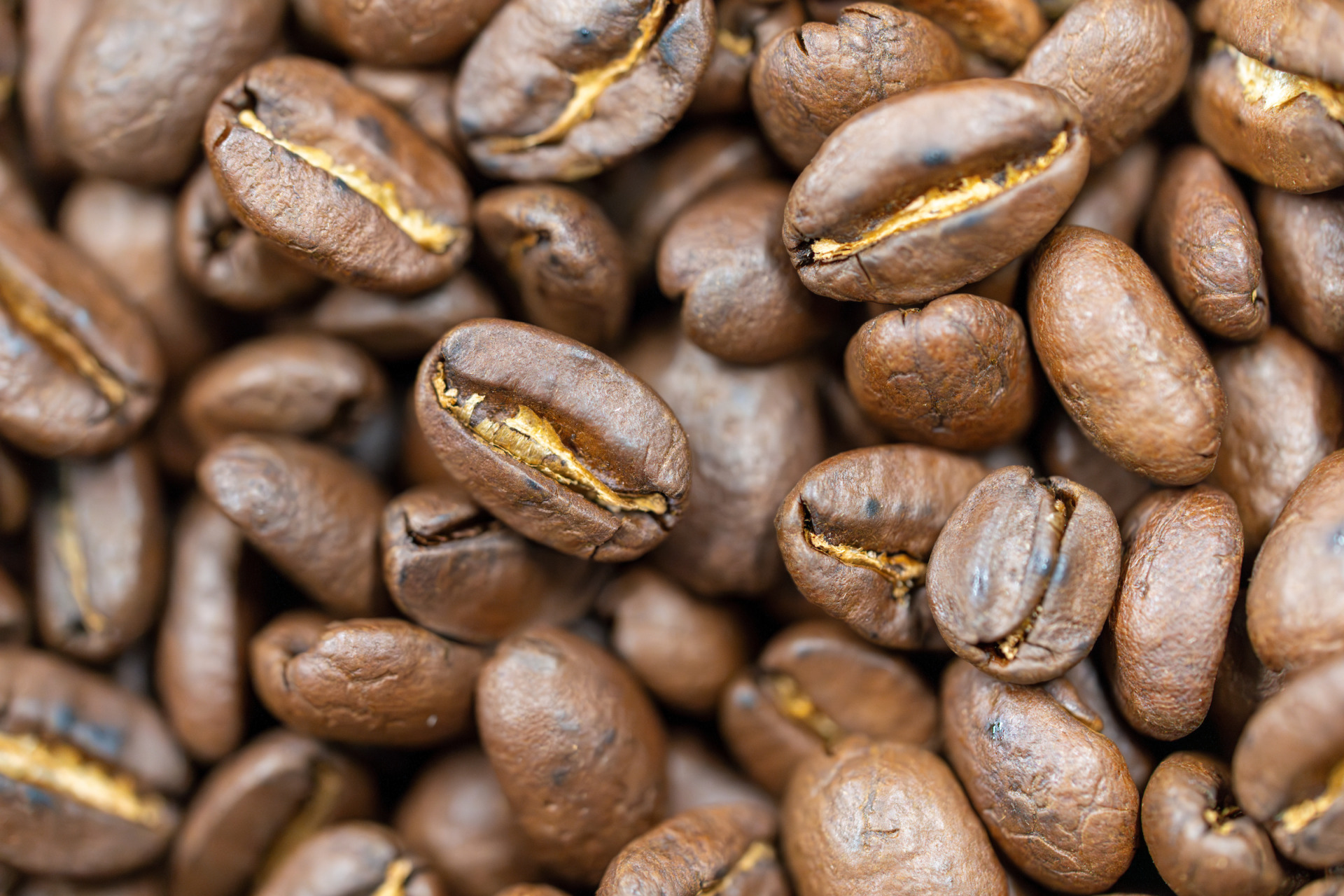 Top coffee questions answered by a Texas A&M AgriLife coffee pro - AgriLife  Today