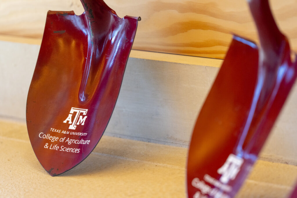 A pair of maroon shovels with the Texas A&M logo and College of Agriculture & Life Sciences on them