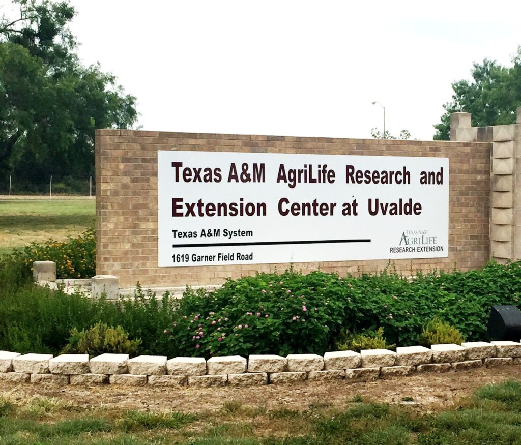 Monument sign at the entrance of the Texas A&M AgriLife Research and Extension Center at Uvalde denoting the center's name