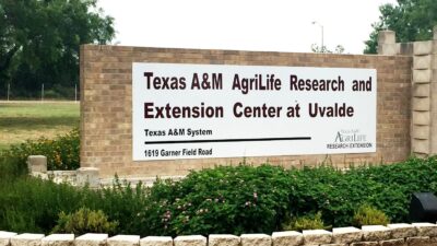 Monument sign at the entrance of the Texas A&M AgriLife Research and Extension Center at Uvalde denoting the center's name