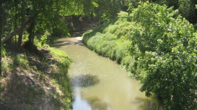 The Yegua Creek with trees lining its banks. The Sept. 26 Texas Watershed Steward workshop will be focusing on management of the Middle Yegua Creek.
