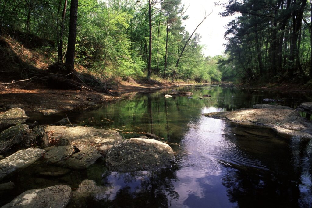 A stream with trees lining its banks. The The Sept. 29 Lone Star Healthy Streams workshop in Hallsville will cover improving water quality and protecting East Texas watersheds from contamination.