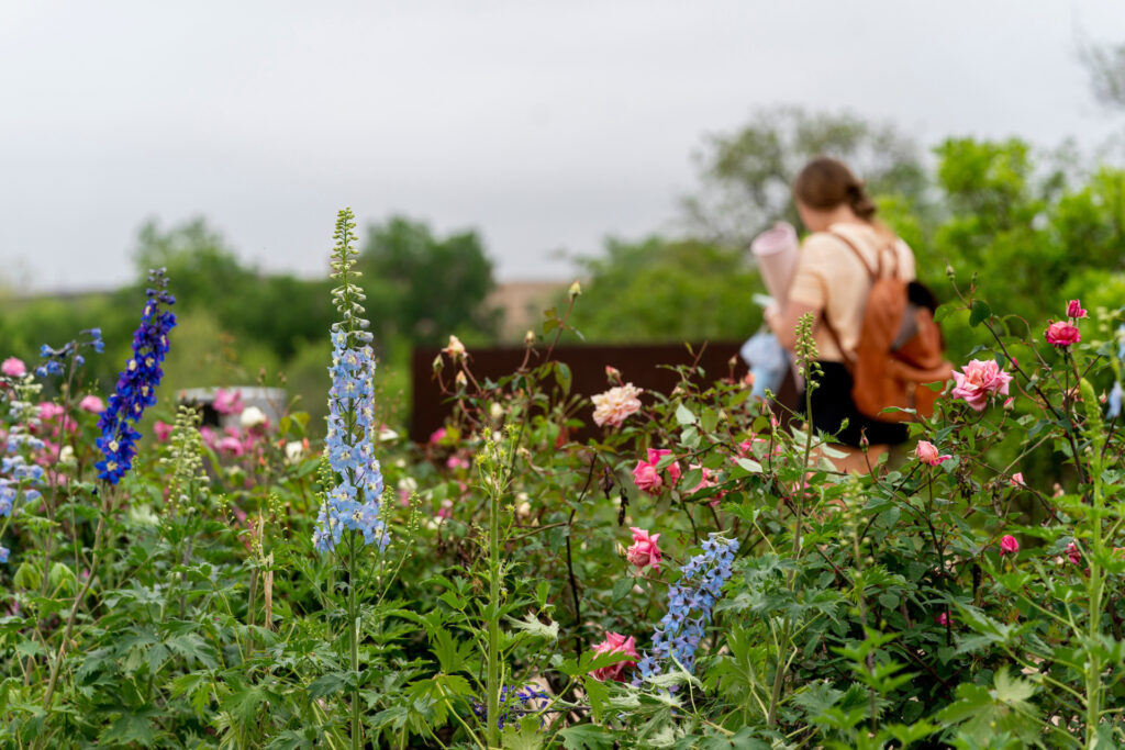 An array of flowers in the foreground with a woman in the background. 