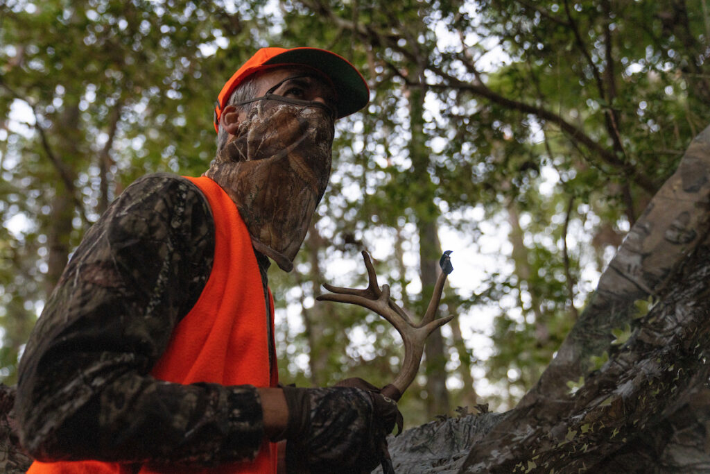 A man hunting uses antlers to call in deer. 
