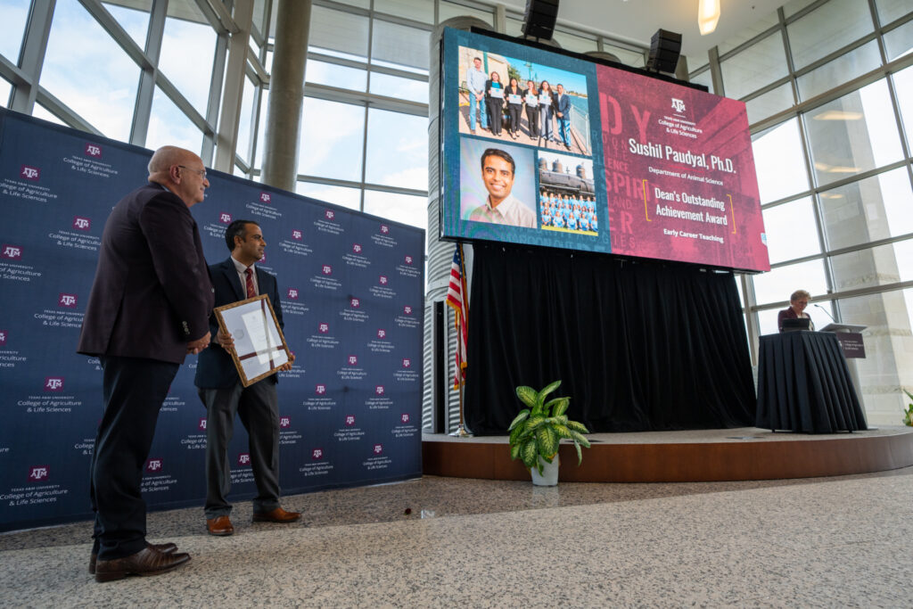 Two men stand to the side while a woman at the podium reads about an award winner. The faculty member's name, Sushil Paudyal appears on the screen behind her with his award: Dean's Outstanding Achievement Award for Early Career Teaching