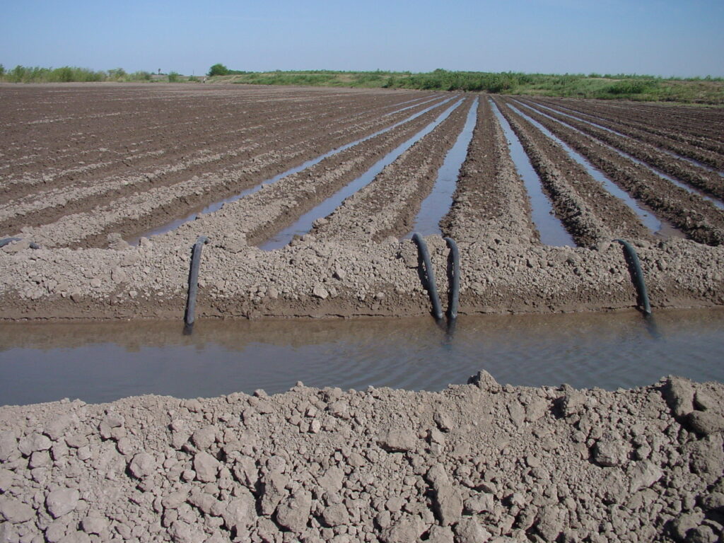 An irrigation channel supplying water to dry farmland. The Oct. 25 workshop in Weslaco will help people to learn more about drought in the Rio Grande Valley area.