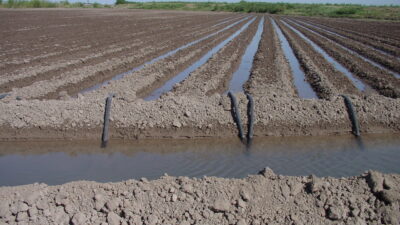 An irrigation channel supplying water to dry farmland.