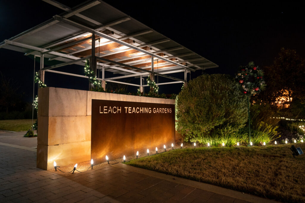 Holiday lights at the entrance to the Leach Teaching Gardens.