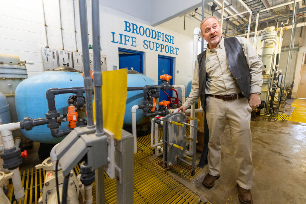 A man shows the machinery and filters that help support a fishery center. On the wall behind him, the words "Broodfish life support" are painted.