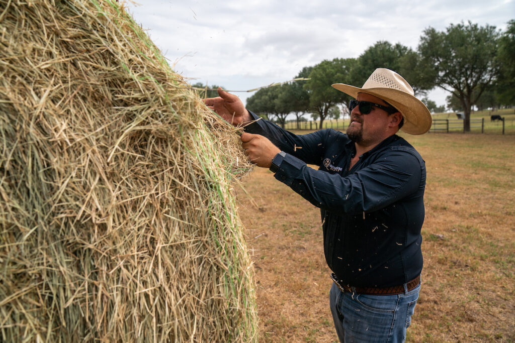 A man in a cowboy hat and sunglasses removes baling twine from a round bale of hay. 