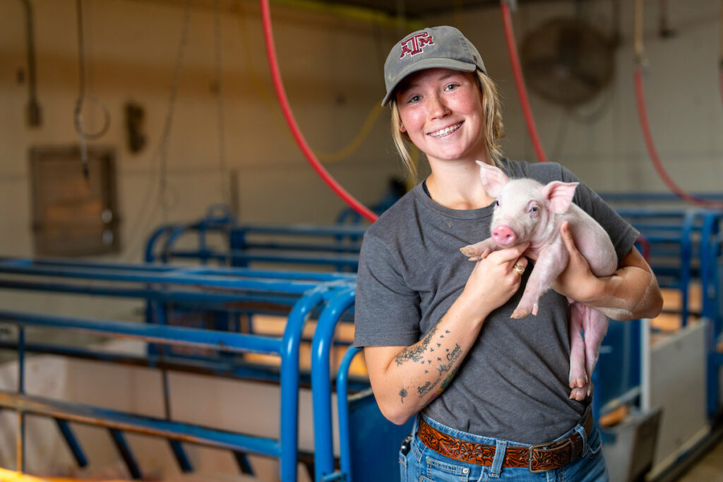 A smiling young woman holding a small piglet in the Texas A&M swine center