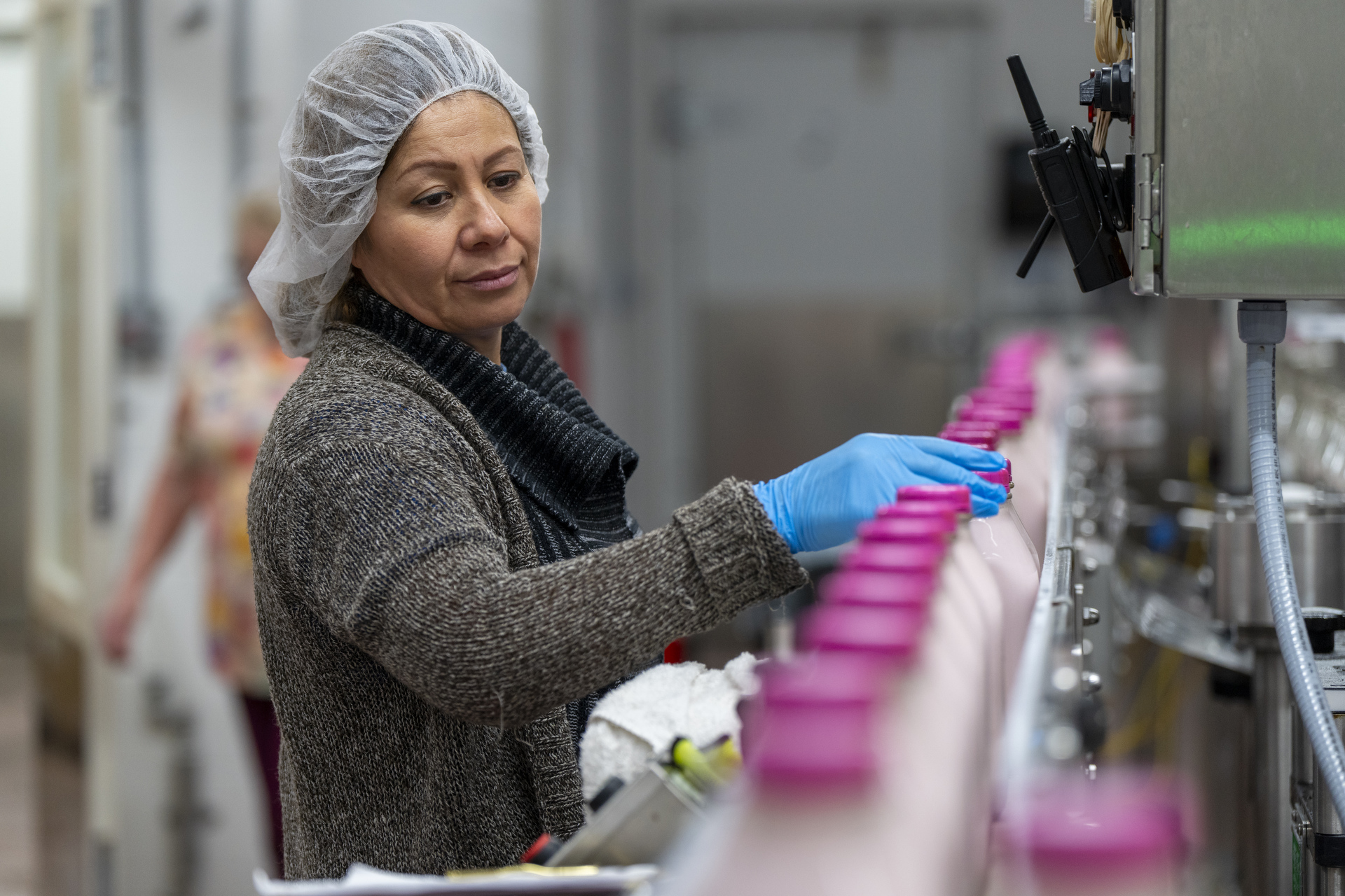 A lady wearing a hair net, a sweater and gloves checks milk bottles as they move through the filling line at the Volleman's Family Farm bottling plant. 