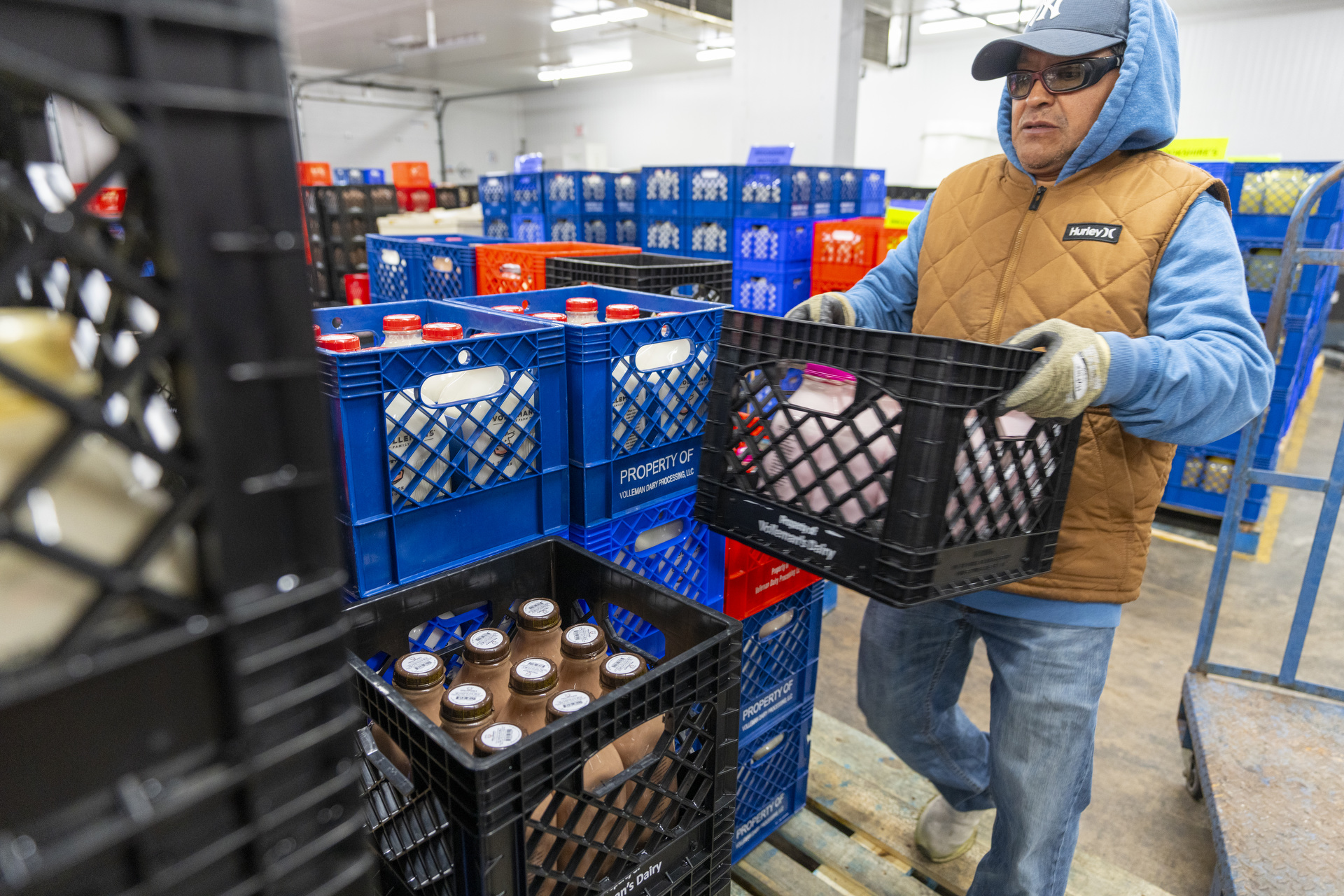 A worker wearing a brown jacket a hat and a blue hoodie and jeans moves containers of milk in the cooler at the Volleman' Family Farm bottling plant. 