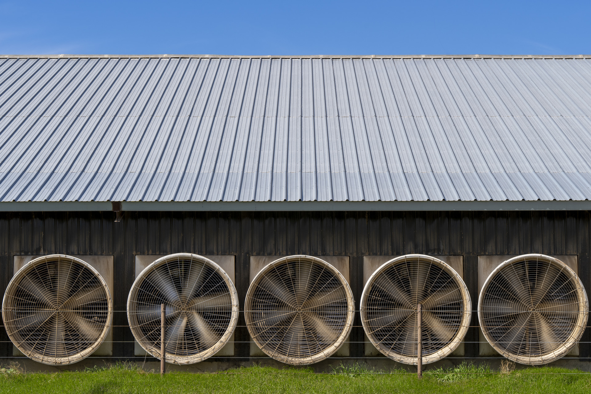 Fans from one of the cow barns at the Volleman’s Family Farm.