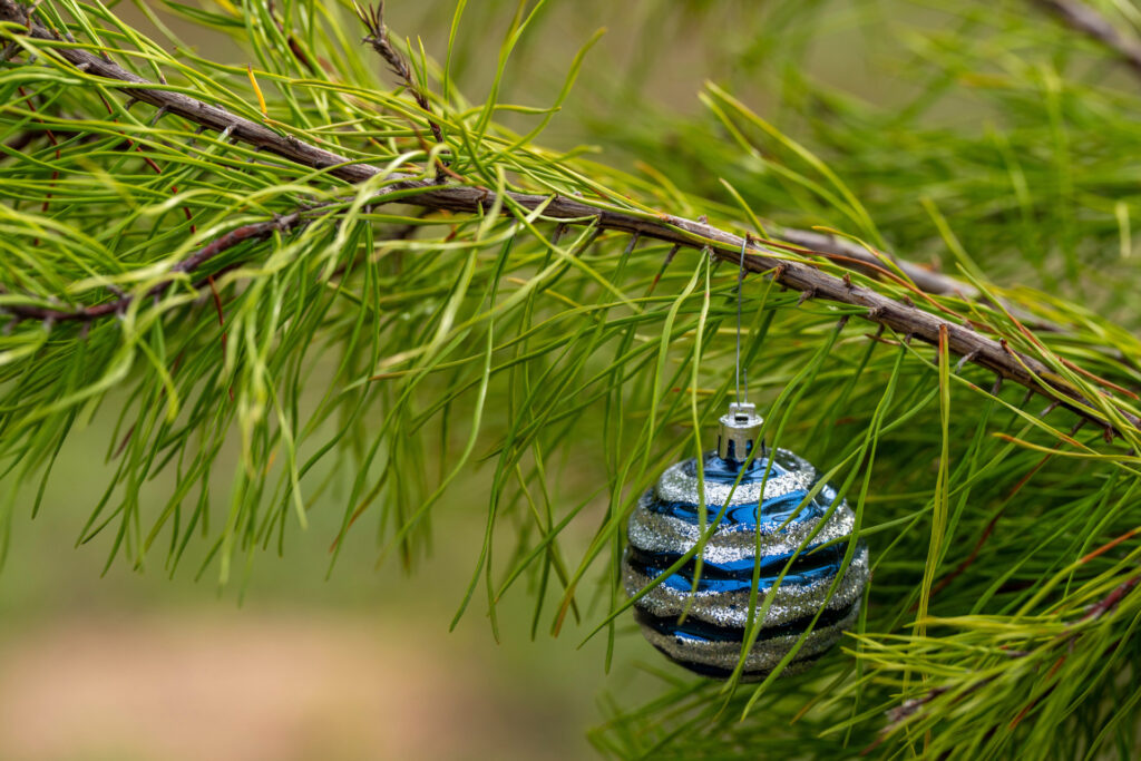 A blue and silver ball Christmas ornament hung on a bright green pine tree branch.