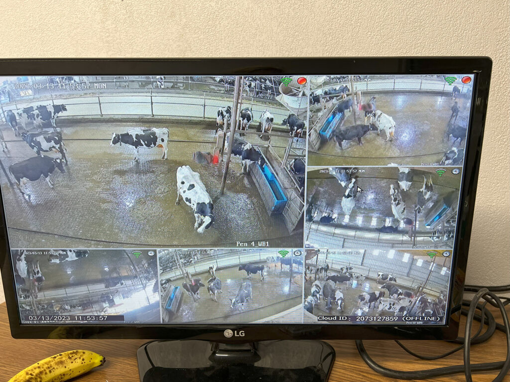 a computer monitor shows up to six pictures within the one picture, each of a different location in the dairy where cows are utilizing different pieces of equipment to determine thermotolerant dairy cow traits