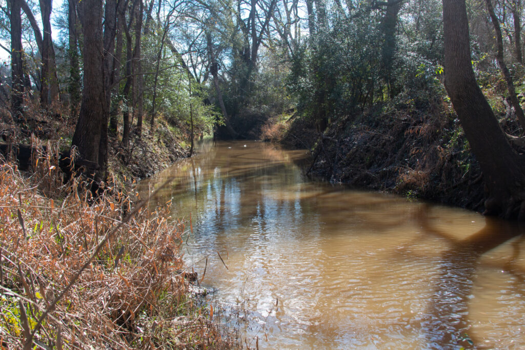 Middle Yegua Creek with trees lining the banks. The watershed will be the main discussion of a Jan. 9 meeting in Giddings.