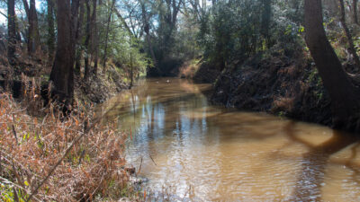 Middle Yegua Creek.