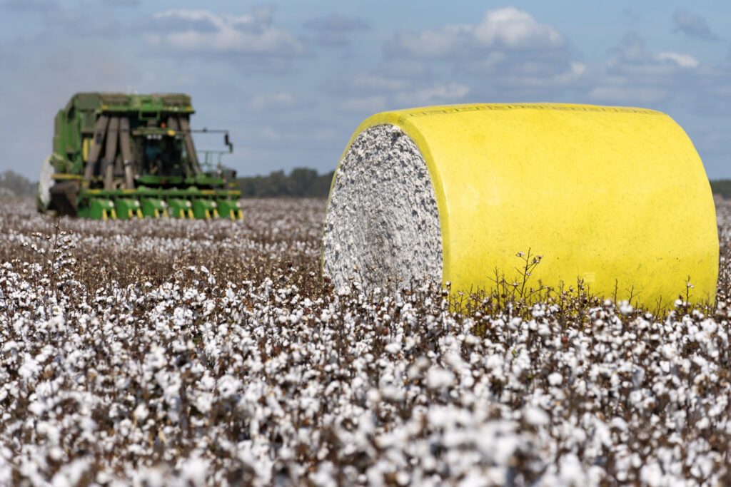 A cotton bale sits in a field with a harvester in the background. Cotton crops will be one of the topics that will be discussed at the 2024 Southeast Panhandle Crops Conference on Jan. 16 in Clarendon.