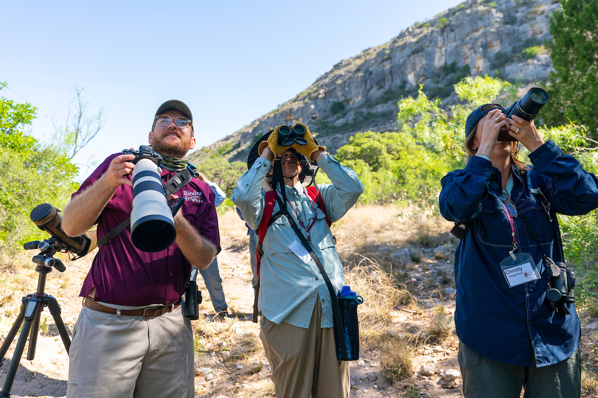 Birding the Border registration currently open AgriLife Today