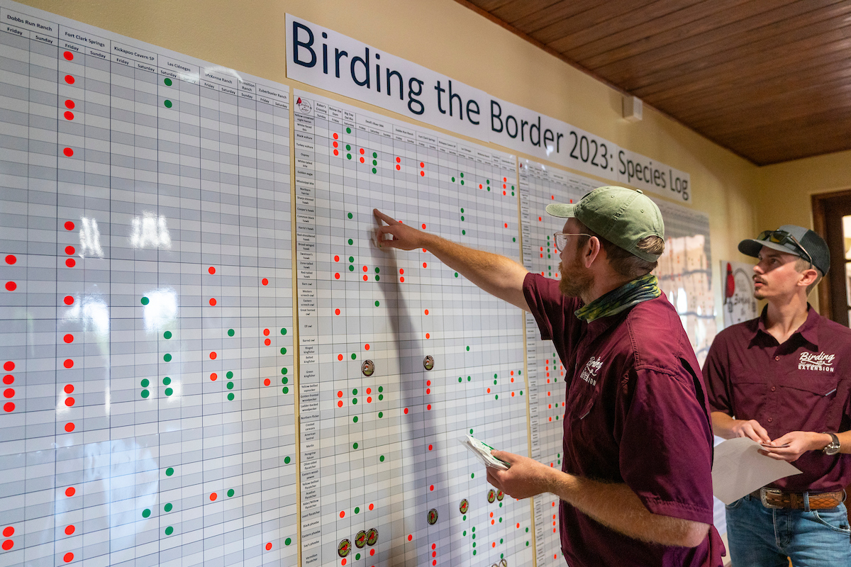 Two men mark off bird species seen across a chart spanning a wall during the 2023 Birding the Border.