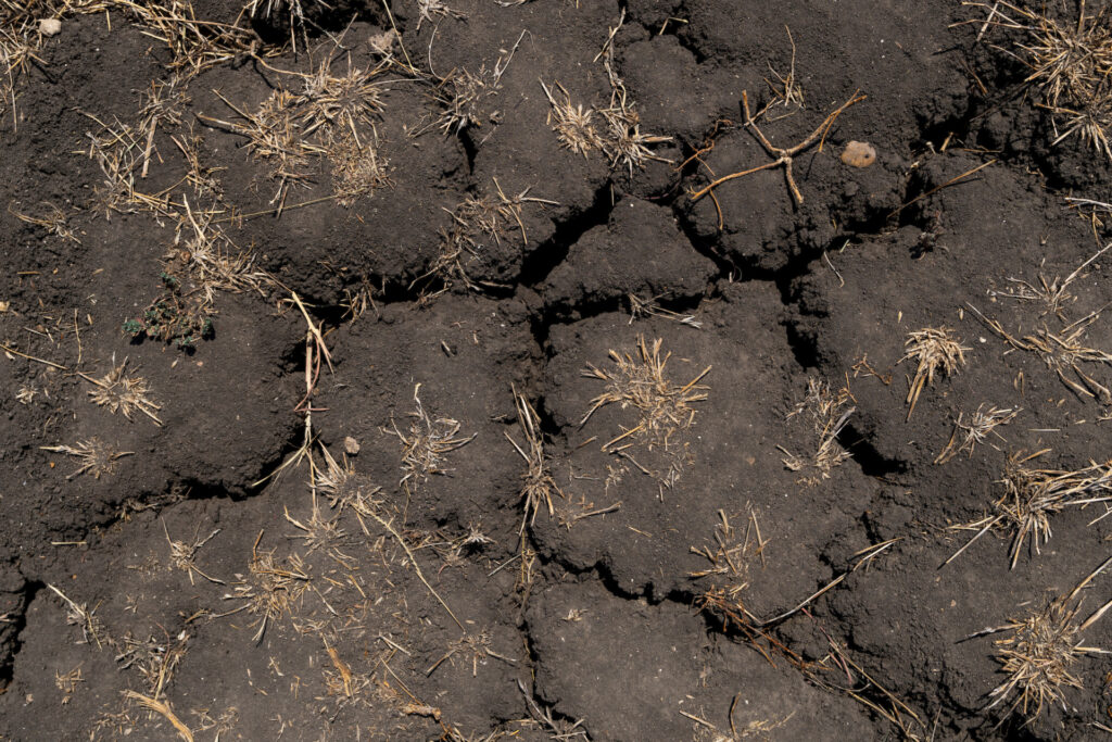 Dark soil showing cracks from dryness. 