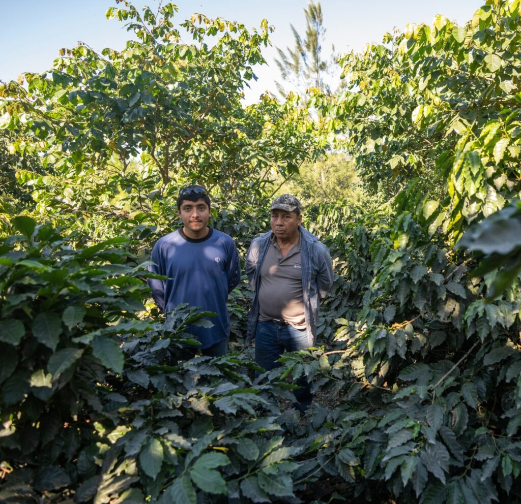 A pair of coffee farmers, Bryan Gabriel and Elmer Fabriel, standing among coffee trees. 