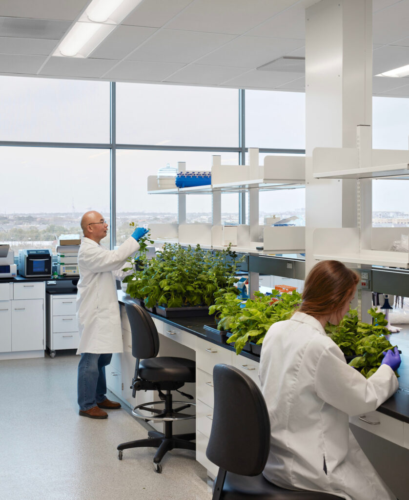 A man and woman in white lab coats working with plants. 