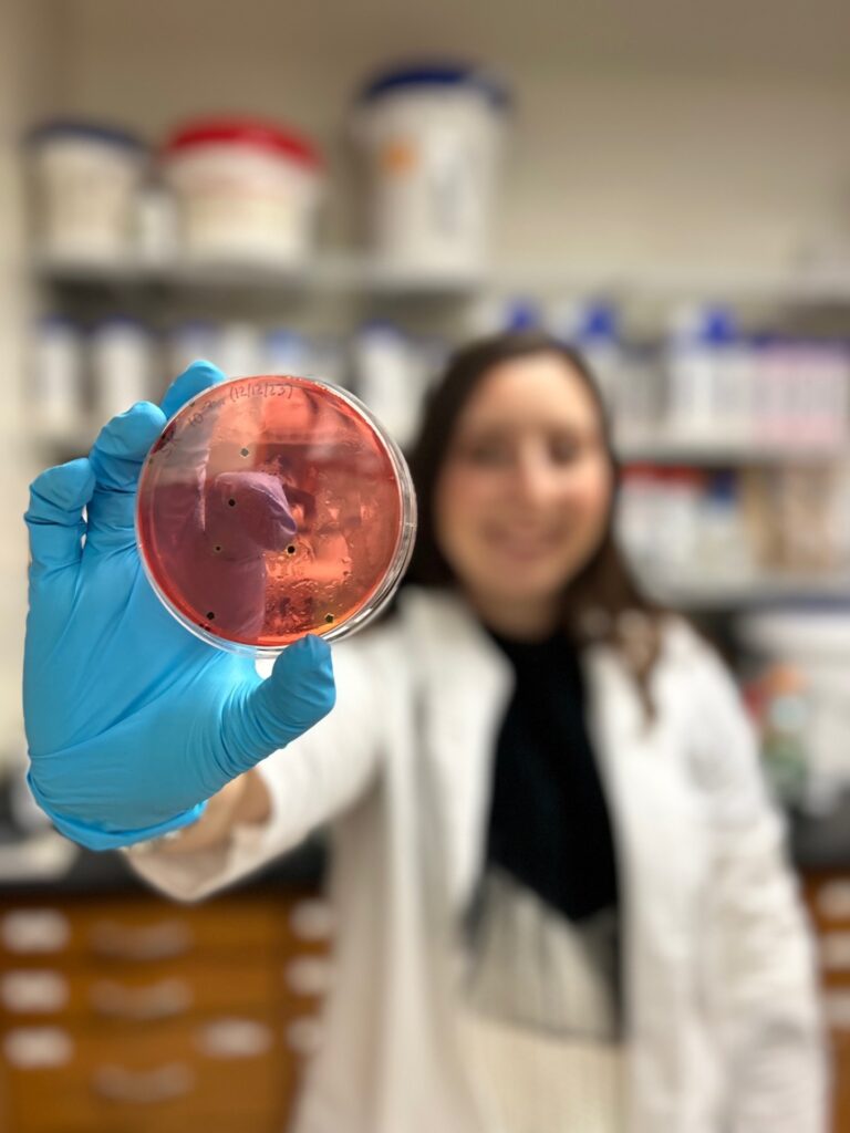 Poultry science graduate student Ally Milby holding up a petrie a red colored petri dish. 