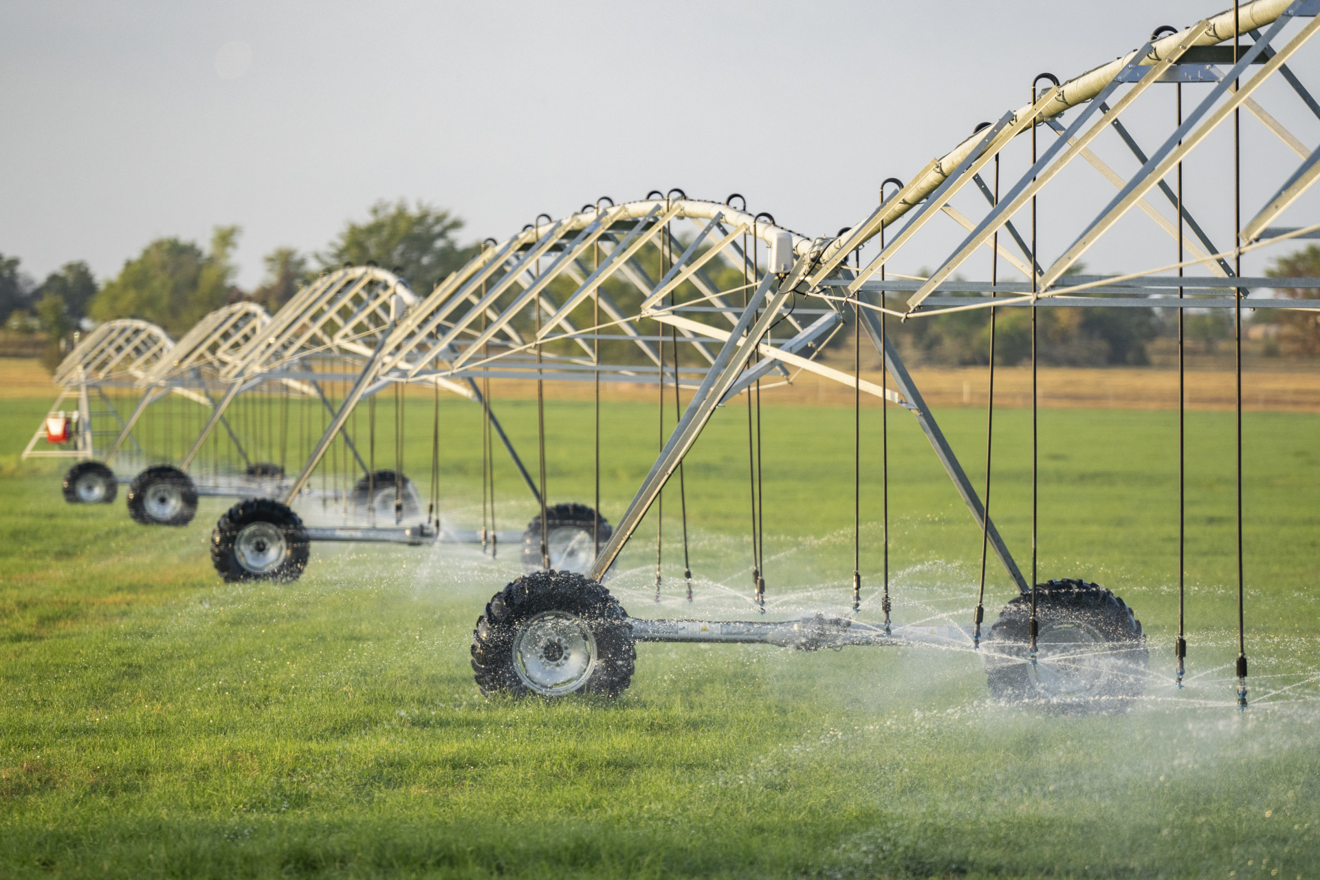 A new Center for North American Studies report shows the importance and value of irrigation water for crop production in the Lower Rio Grande Valley.
