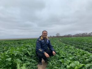 A man crouches in a spinach field. He is wearing a blue jacket. 