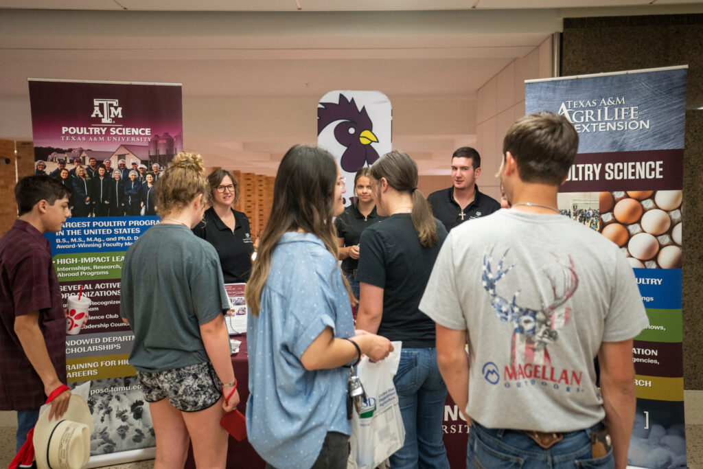 4-H Roundup participants speak to representatives from Texas A&M College of Agriculture and Life Sciences departments during the college and career fair