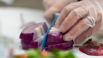 A person's hands are cutting a purple onion to add to a dish.