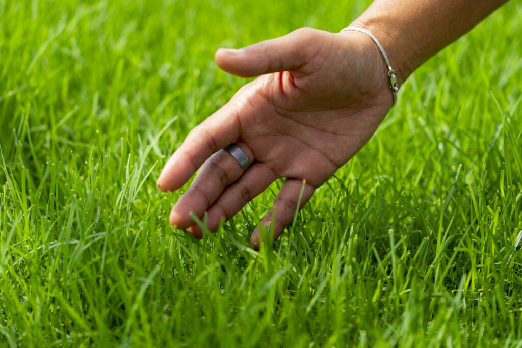 a hand brushing through blades of green grass 