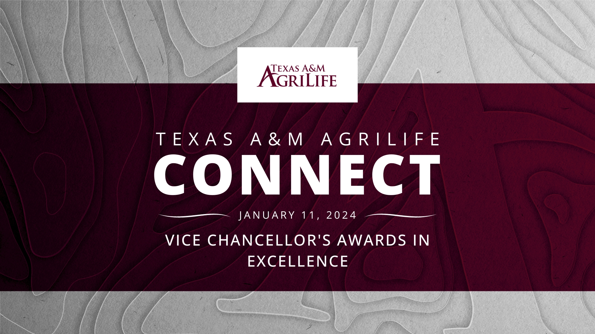 Texas A&M AgriLife Vice Chancellor’s awards presented to faculty and staff