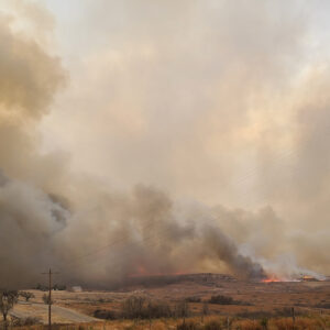 Texas Panhandle wildfires: Documenting agricultural losses