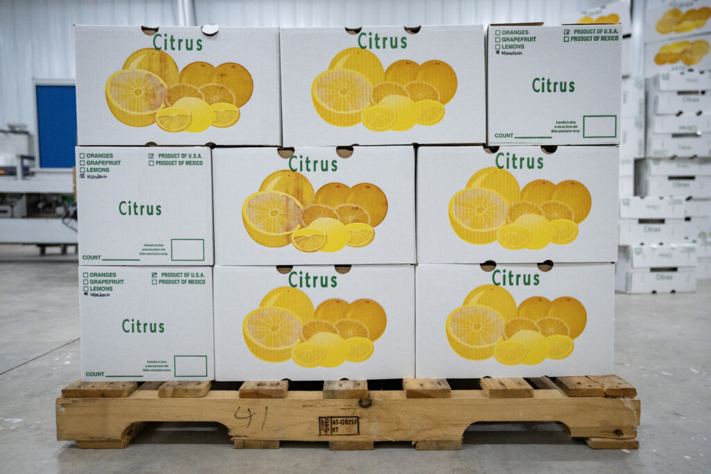 Boxes of oranges sitting on pallets waiting to be shipped from the warehouse. The South Texas citrus crop is poised for a comeback.