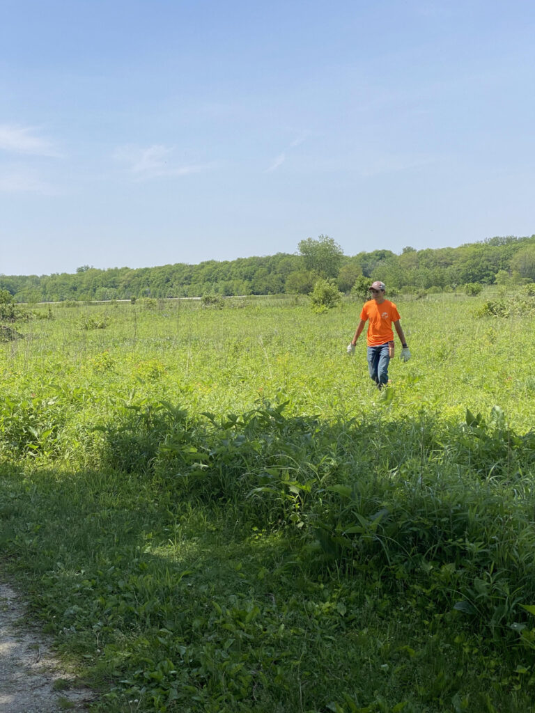 A young man, Daniel MacKenzie, in a orange shirt and jeans walking through green pasture,
