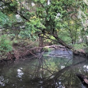 Middle Yegua Creek watershed protection meeting to be March 12 in Giddings